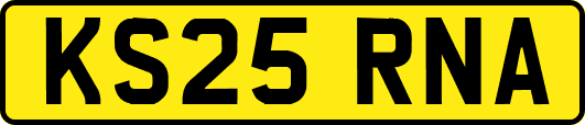 KS25RNA