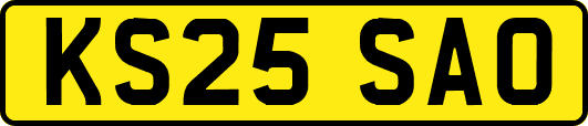 KS25SAO