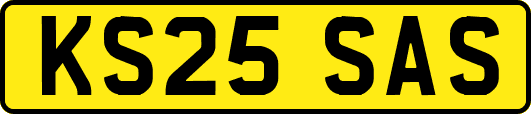 KS25SAS