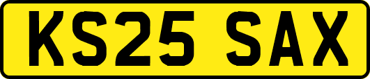 KS25SAX