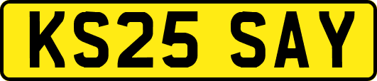KS25SAY