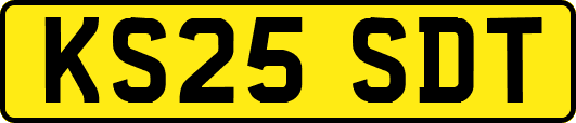 KS25SDT