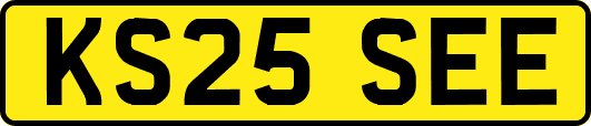 KS25SEE
