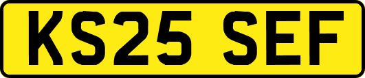 KS25SEF