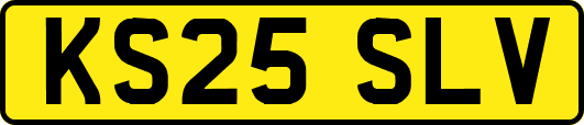 KS25SLV