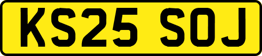 KS25SOJ