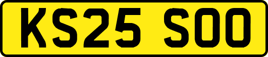 KS25SOO