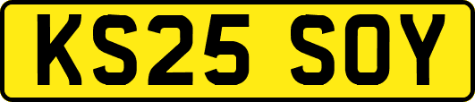 KS25SOY