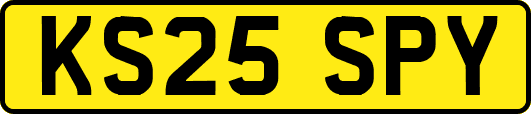 KS25SPY