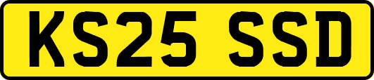 KS25SSD