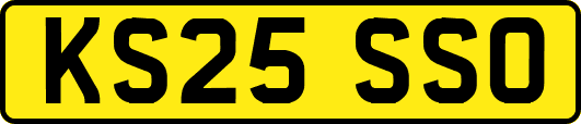 KS25SSO