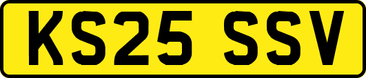 KS25SSV