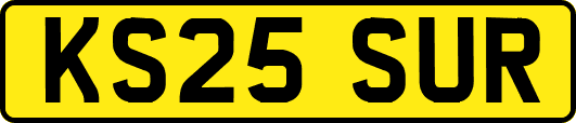 KS25SUR