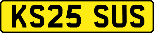 KS25SUS