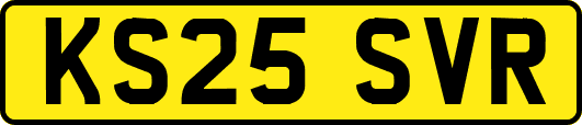 KS25SVR