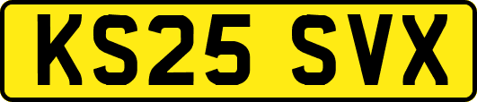 KS25SVX