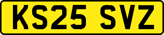 KS25SVZ