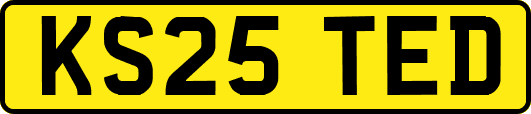 KS25TED