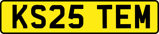 KS25TEM