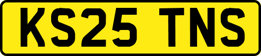 KS25TNS