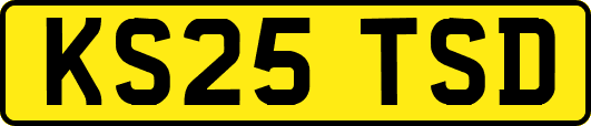 KS25TSD
