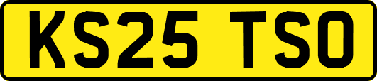 KS25TSO