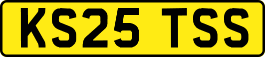 KS25TSS