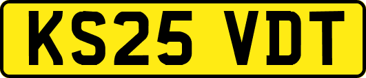 KS25VDT