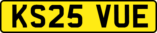 KS25VUE