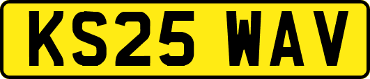 KS25WAV
