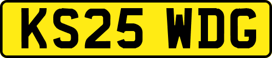 KS25WDG