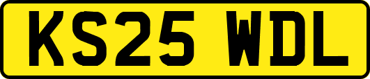 KS25WDL