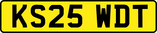 KS25WDT