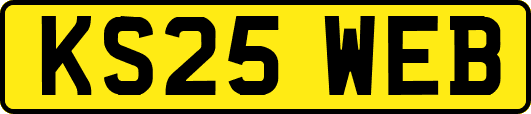 KS25WEB