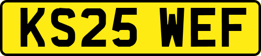 KS25WEF