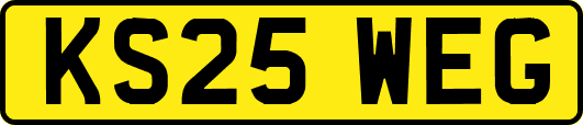 KS25WEG