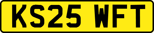KS25WFT