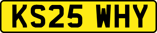 KS25WHY