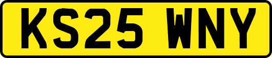 KS25WNY