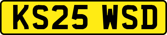 KS25WSD