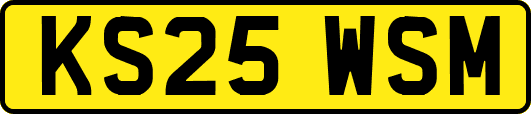KS25WSM