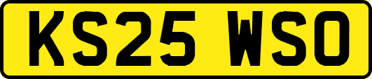 KS25WSO