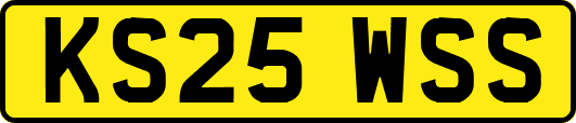 KS25WSS