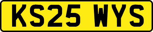 KS25WYS