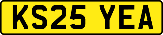 KS25YEA