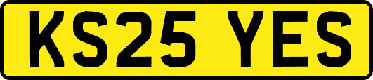KS25YES