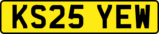 KS25YEW