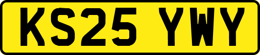 KS25YWY