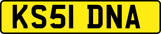 KS51DNA