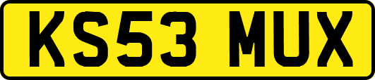 KS53MUX